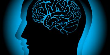 Verständnis der Ursachen von venösen Angriffen der Hirnarterie – Oren Zarif