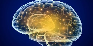 Verständnis der Ursachen von venösen Angriffen der Hirnarterie – Oren Zarif